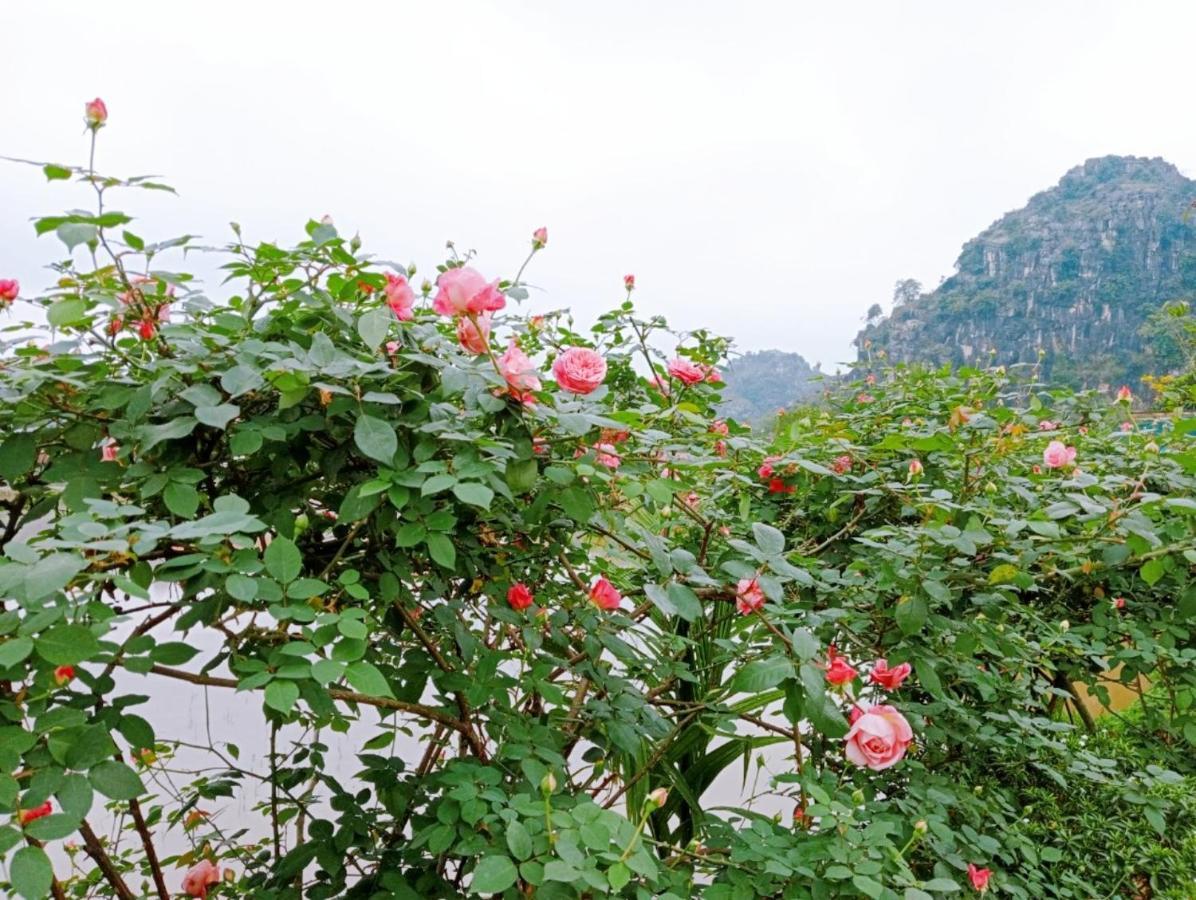 Ninh Binh Green Farmstay La Phu  외부 사진