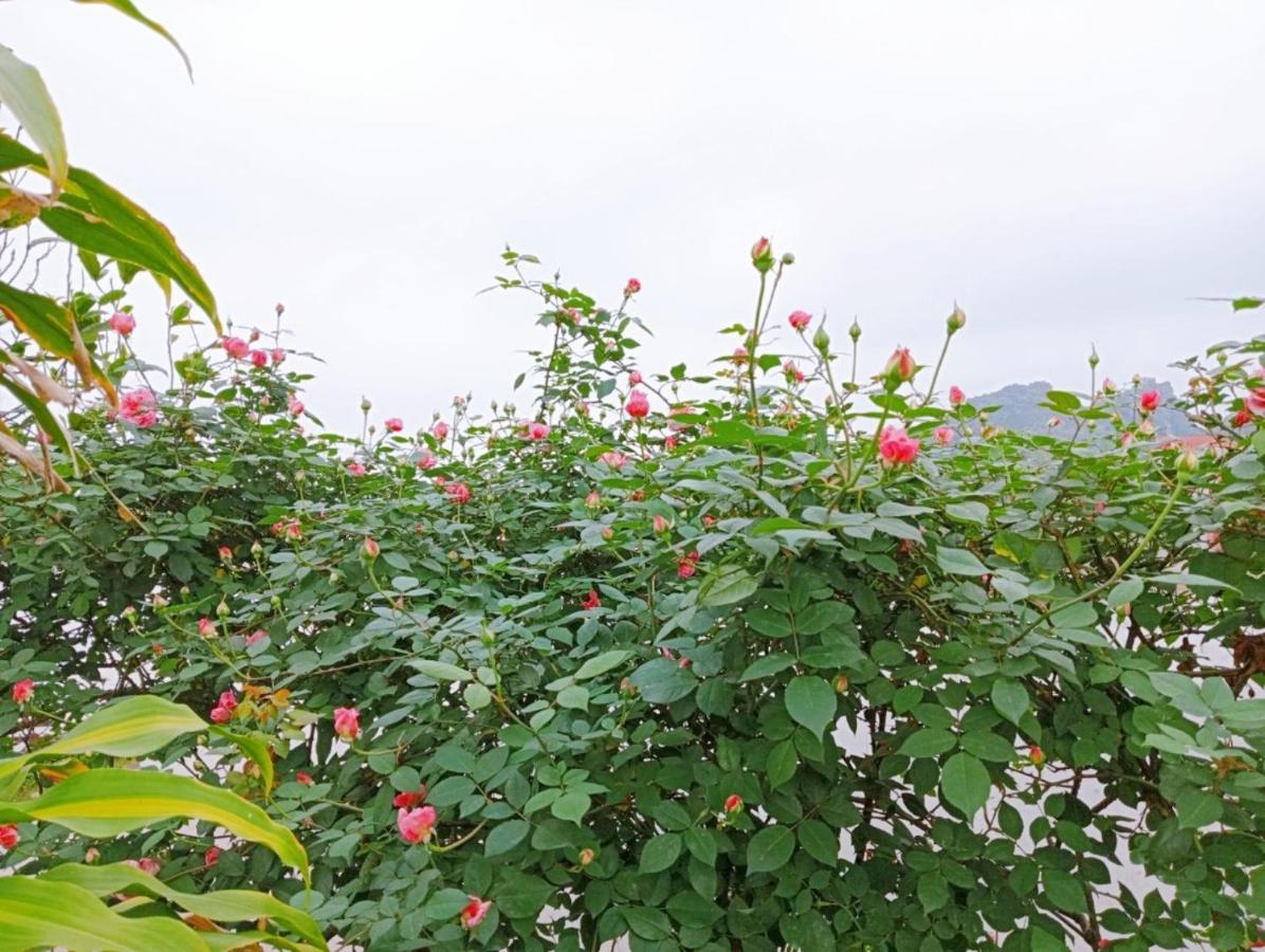 Ninh Binh Green Farmstay La Phu  외부 사진