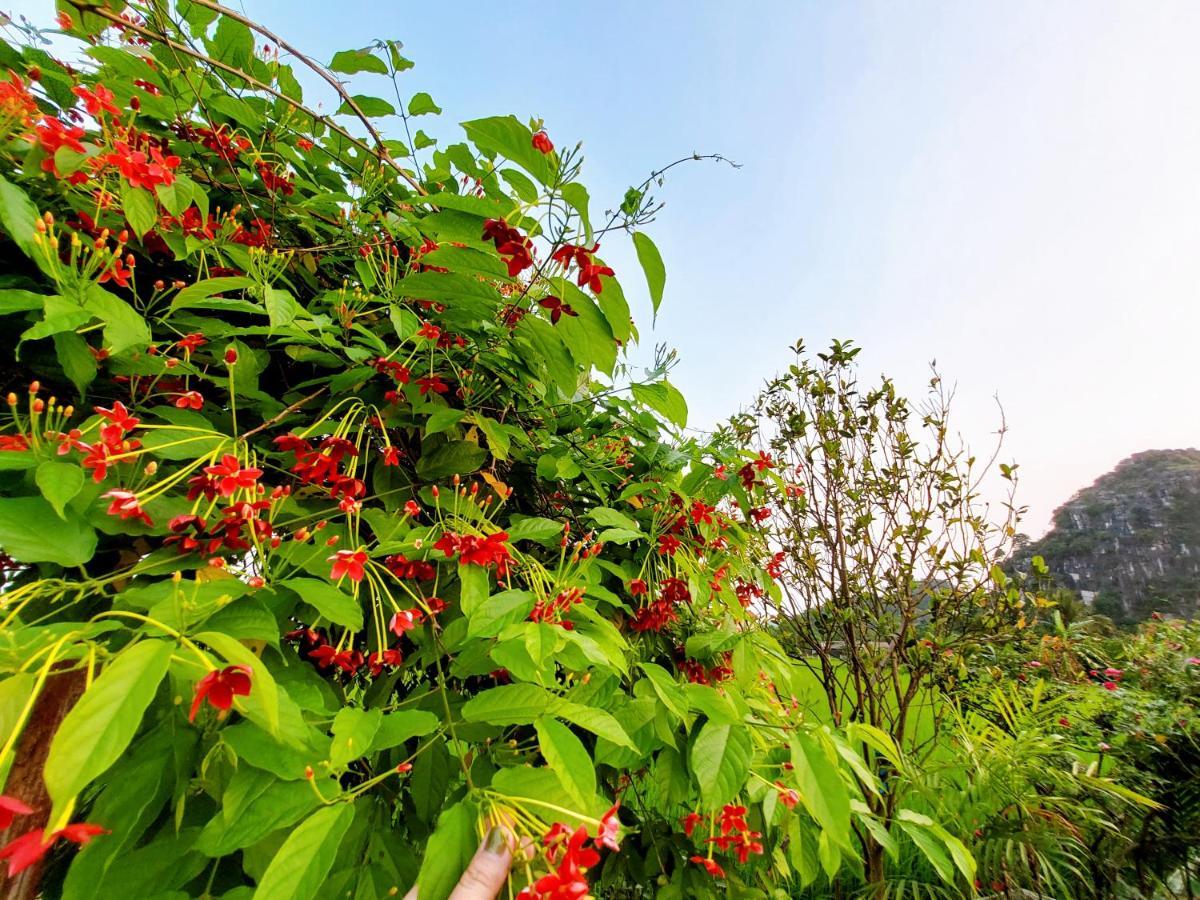 Ninh Binh Green Farmstay La Phu  외부 사진